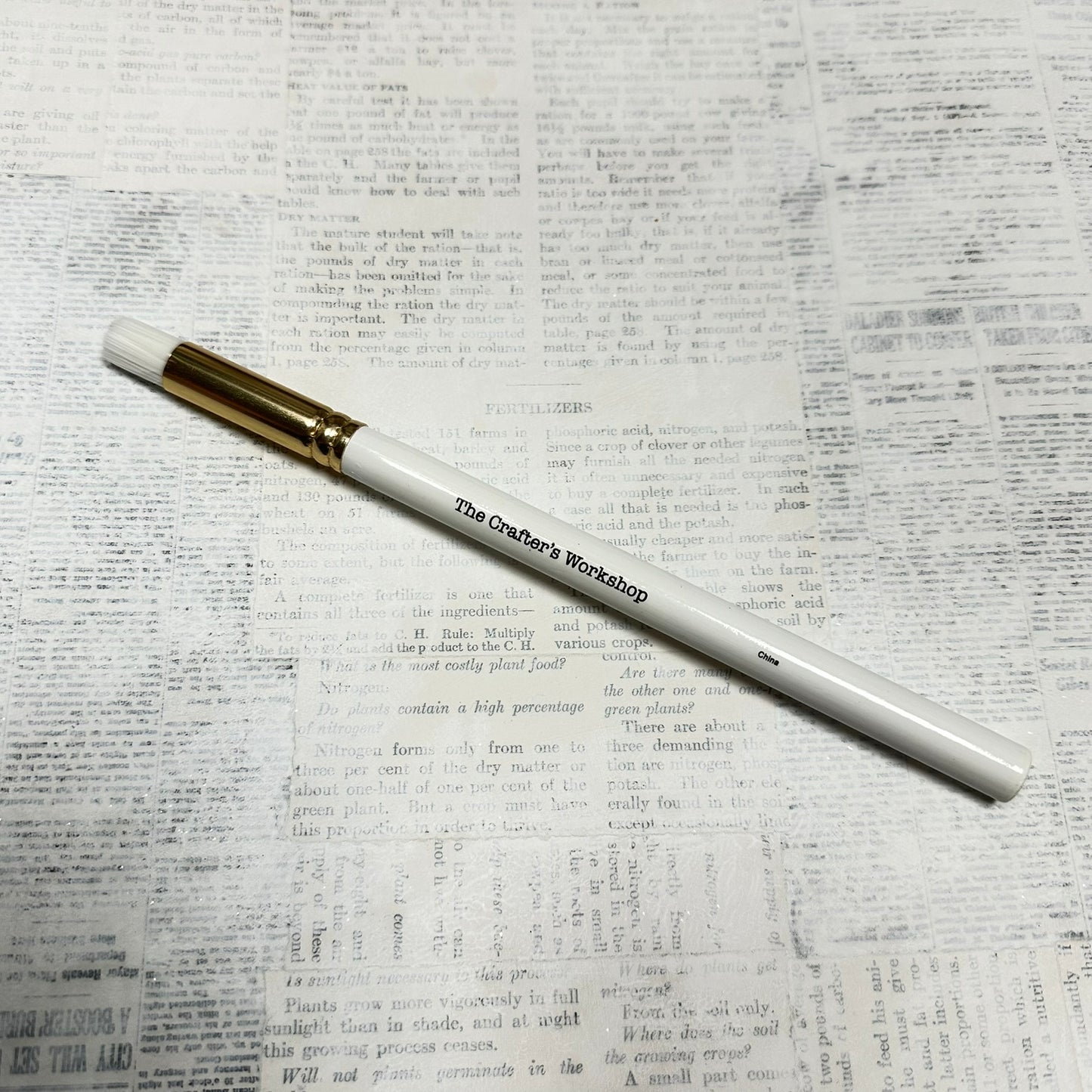 TCW Single Regular Sized Blending/Stenciling Brush