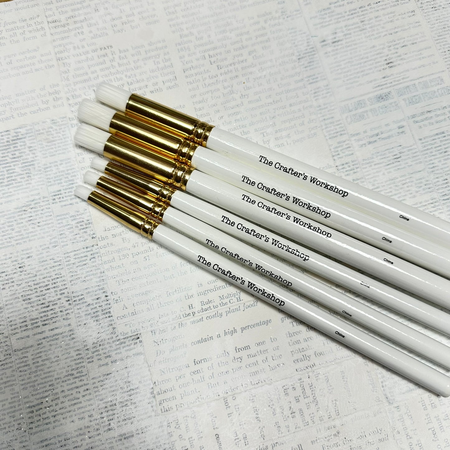 TCW Blending/Stenciling Brush 6 pack (3 Regular and 3 Small Sized)